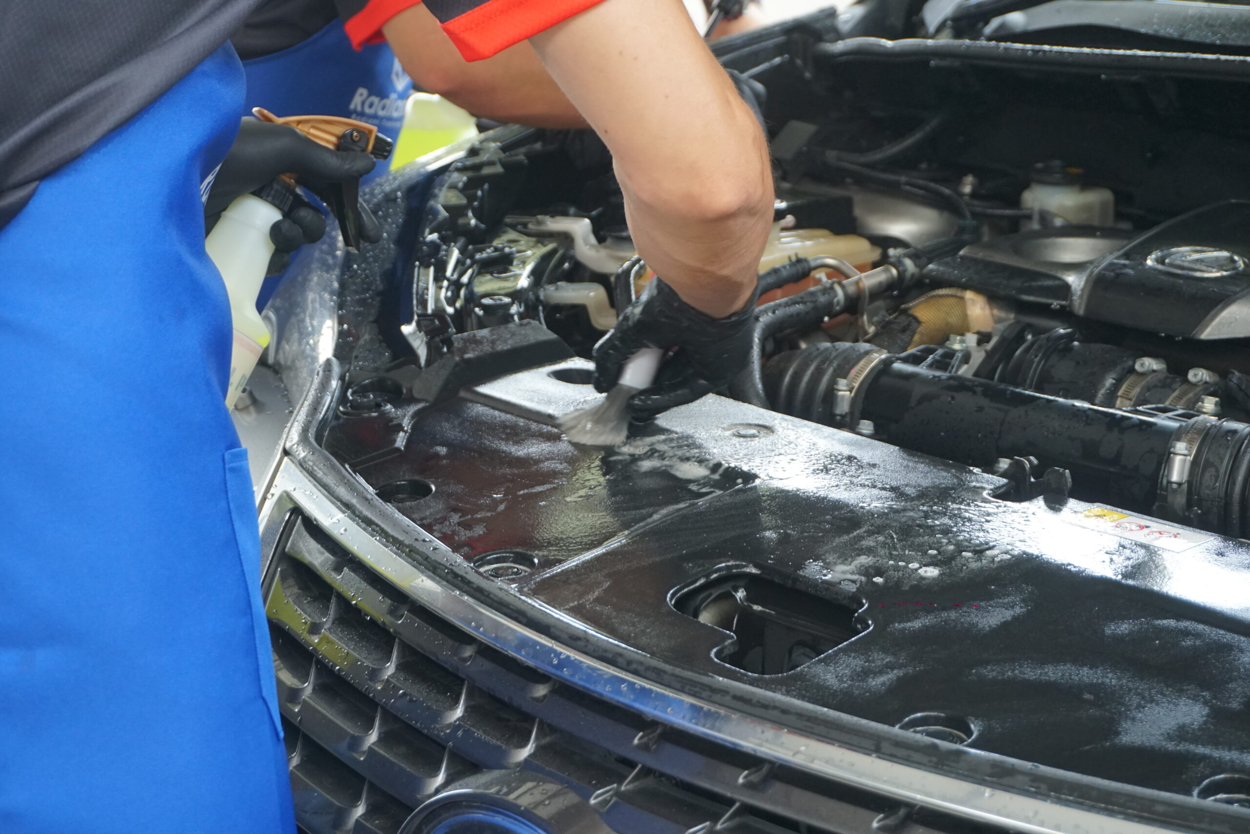 Professional Auto Care dsc00470